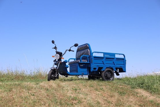 CARELLO LDR Smart 30084260 © GM Bilder