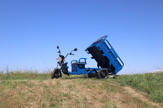 CARELLO LDR Smart 30084261 © GM Bilder