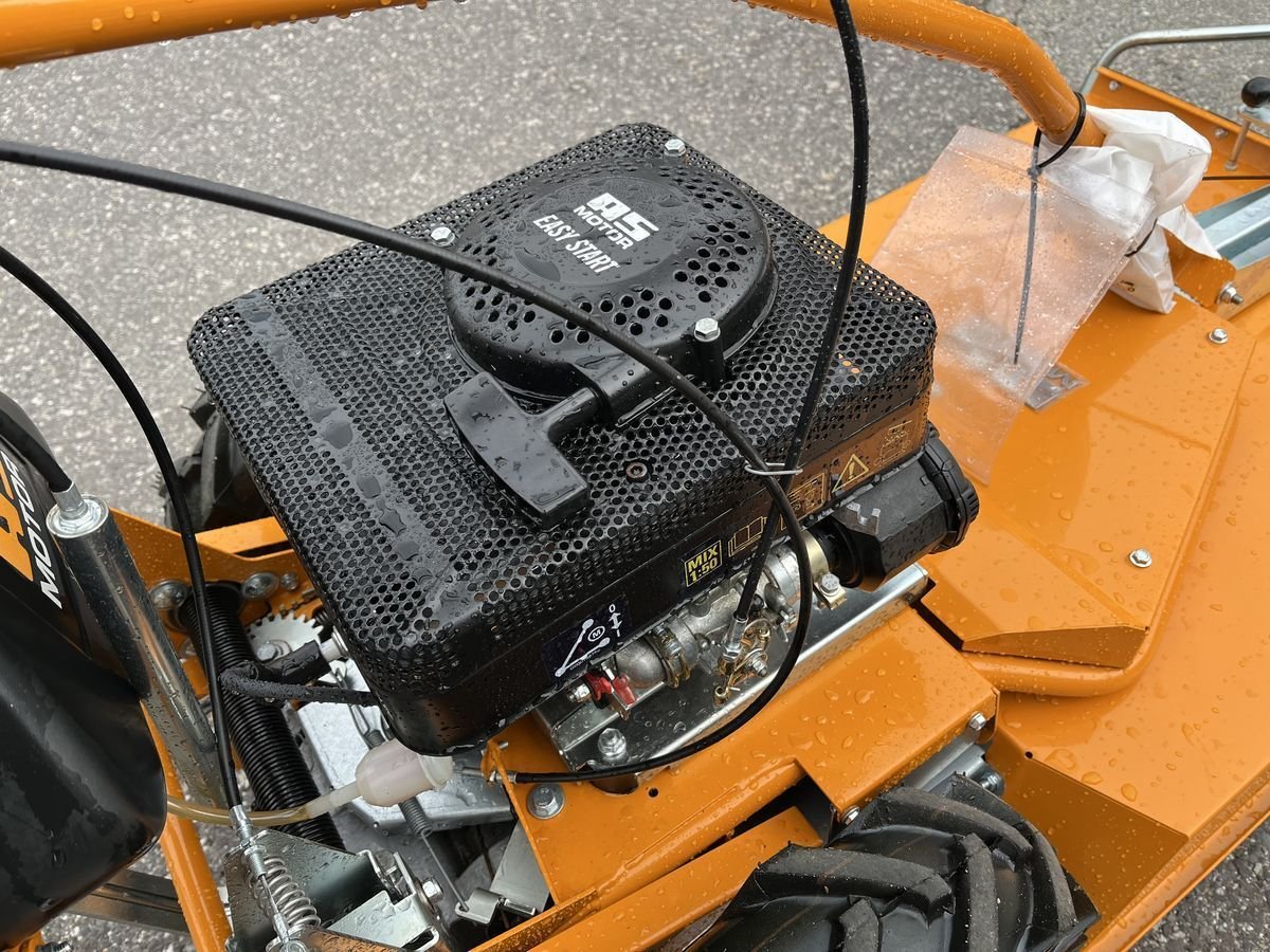 Diverse AS Motor - AS 65 2T ES 458741911 © GM Bilder