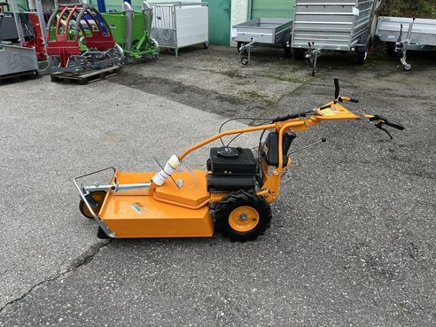 Diverse AS Motor - AS 65 2T ES 45874193 © GM Bilder