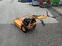 Diverse AS Motor - AS 65 2T ES 45874194 © GM Bilder