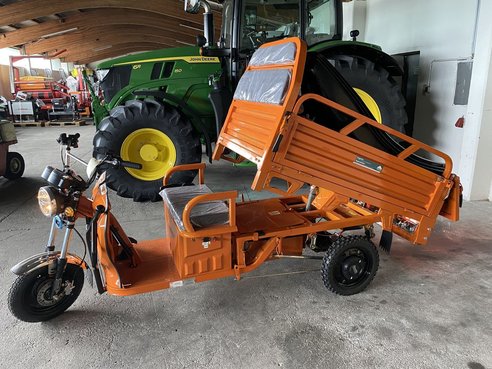 CARELLO Lastendreirad TUK TUK LDR 25 59819221 © GM Bilder