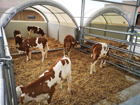 Diverse Agrotel Cosyhome CH 9 Gruppeniglu 38004731 © GM Bilder