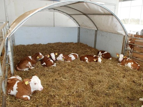 Diverse Agrotel Cosyhome CH 9 Gruppeniglu 38004736 © GM Bilder