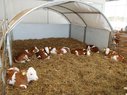 Diverse Agrotel Cosyhome CH 9 Gruppeniglu 38004736 © GM Bilder