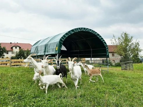 Diverse Agrotel Weideunterstand, Weidezelt, Lagerhalle 44195172 © GM Bilder