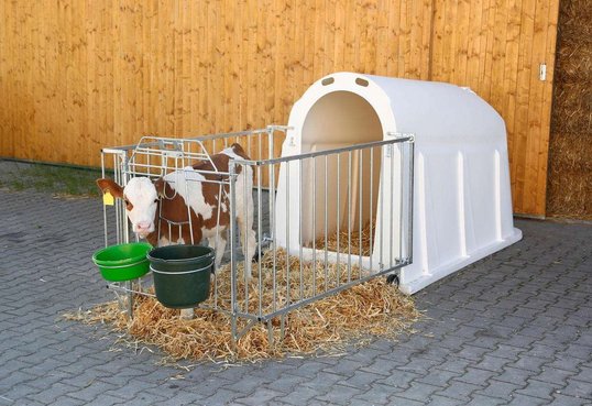 Kerbl Kälberiglu, Calfhouse mit leichter Umzäunung 44195220 © GM Bilder