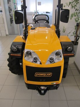 PASQUALI SIENA 35 RS 32405071 © GM Bilder