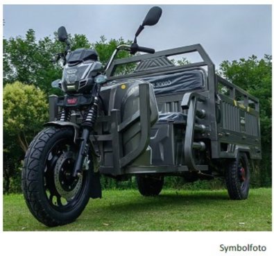 Diverse LDR-Maxi, 3kW Motor, 45 km/h,  mit COC-Papieren L2e 190396890 © GM Bilder