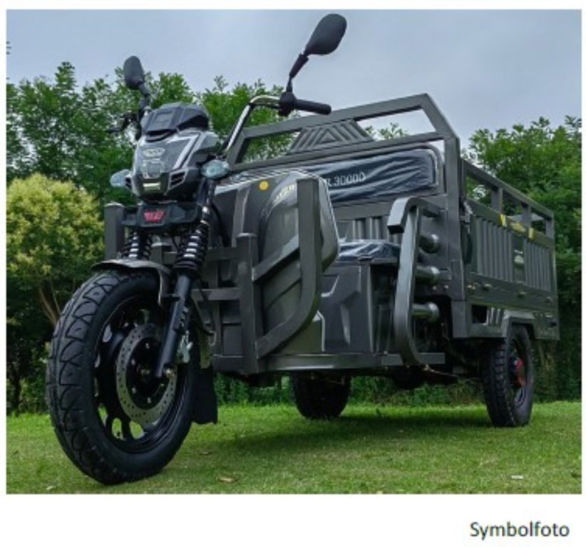 Diverse LDR-Maxi, 3kW Motor, 45 km/h,  mit COC-Papieren L2e 190396890 © GM Bilder