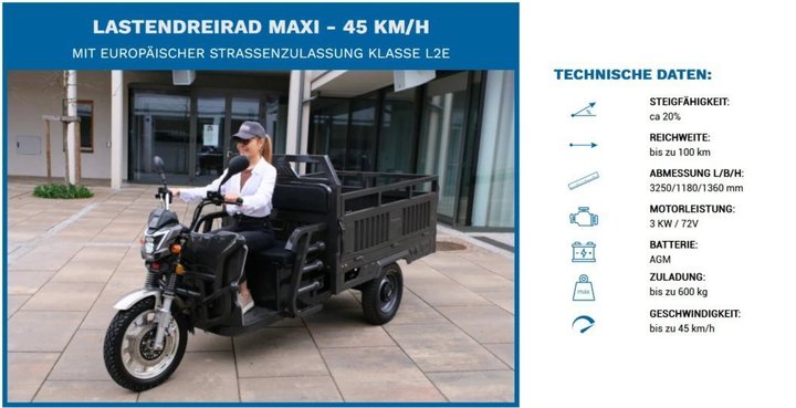 Diverse LDR-Maxi, 3kW Motor, 45 km/h,  mit COC-Papieren L2e 190396891 © GM Bilder