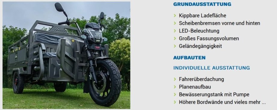 Diverse LDR-Maxi, 3kW Motor, 45 km/h,  mit COC-Papieren L2e 190396892 © GM Bilder