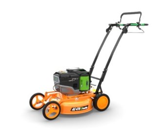 [10138-190411600.jpg]