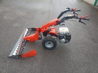 [10138-190411850.jpg]