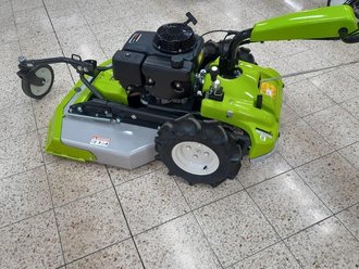 [6732-l85000175-0.jpg]