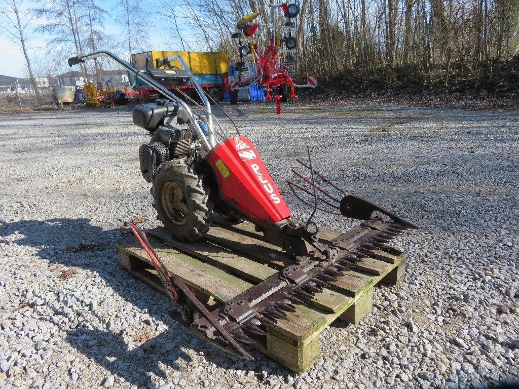 Vogel & Noot Plus 7455_L79000165_1 © GM Bilder