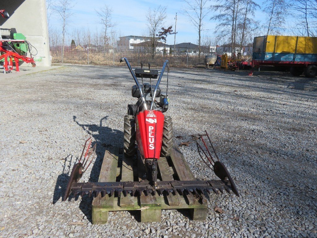 Vogel & Noot Plus 7455_L79000165_2 © GM Bilder