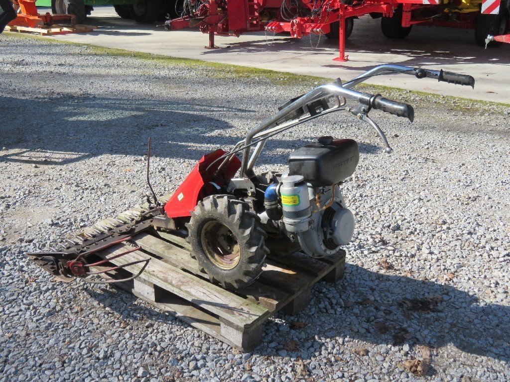 Vogel & Noot Plus 7455_L79000165_4 © GM Bilder