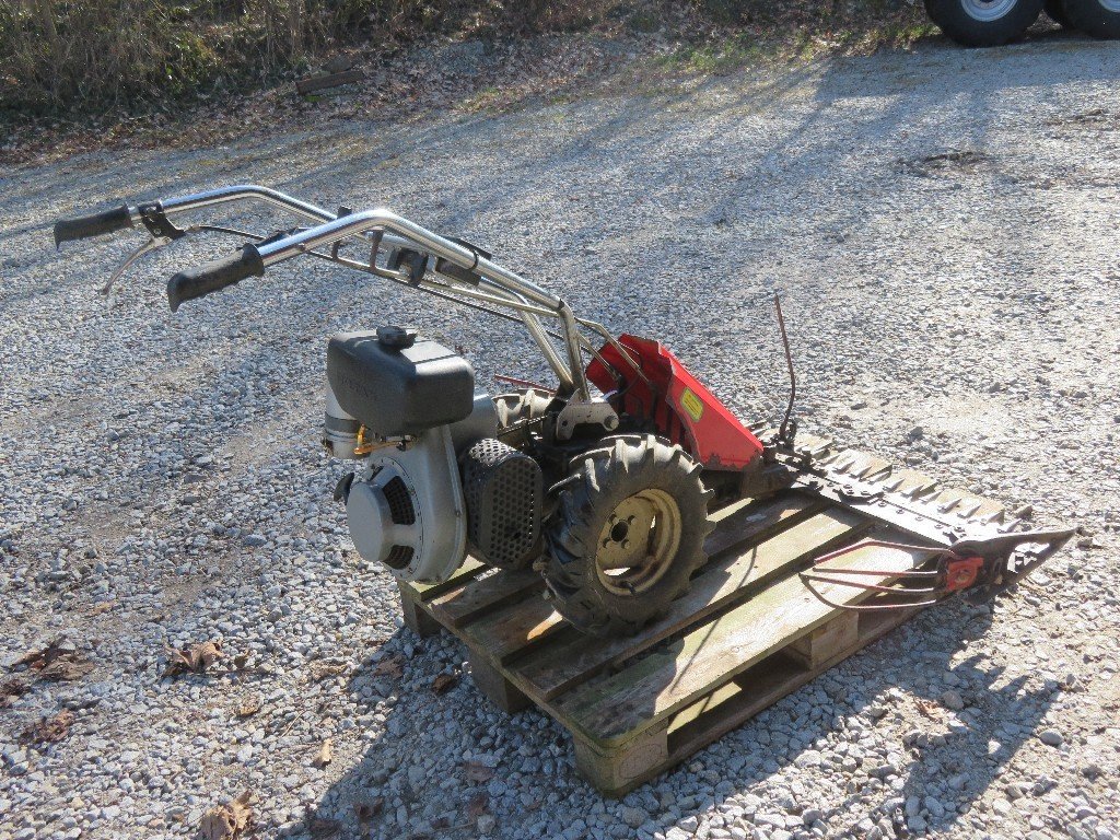 Vogel & Noot Plus 7455_L79000165_6 © GM Bilder