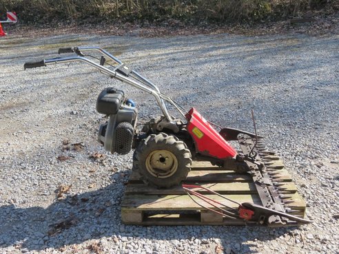 Vogel & Noot Plus 7455_L79000165_7 © GM Bilder