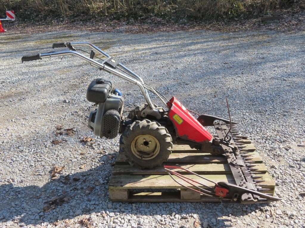 Vogel & Noot Plus 7455_L79000165_7 © GM Bilder