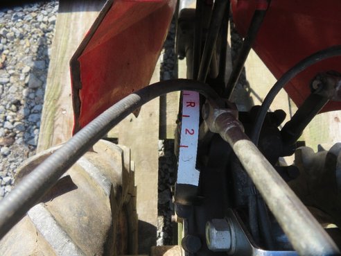 Vogel & Noot Plus 7455_L79000165_9 © GM Bilder