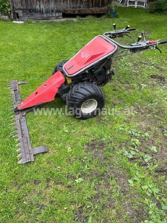 [3290-19039658-0.jpg]