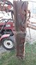 Ero ERO 3592-68353769-1 © GM Bilder