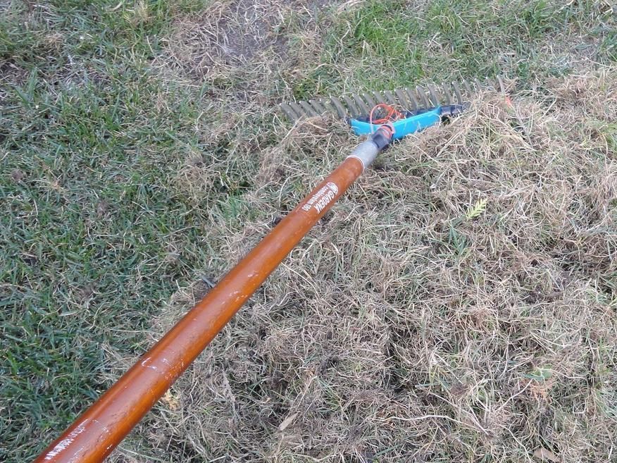 Den Rasen im Frühling und Frühjahr pflegen | Lagerhaus Landring