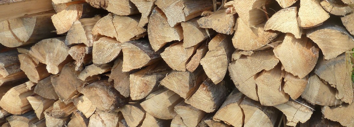 Brennholz lagern | Lagerhaus Landforst