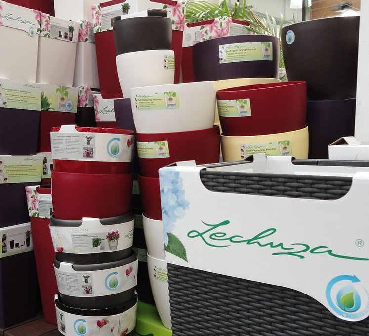 Sich mit Zimmerpflanzen im Büro wohlfühlen | Lagerhaus Graz Land