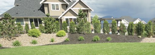 Fichten, Tannen und andere Koniferen im Garten | Lagerhaus Landring