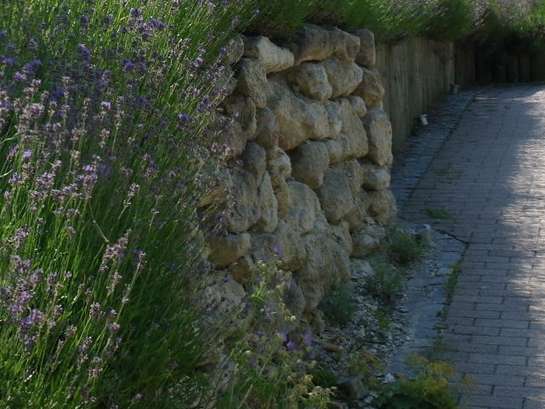 Wie man steile Hänge und Böschungen bepflanzt | Lagerhaus Landring