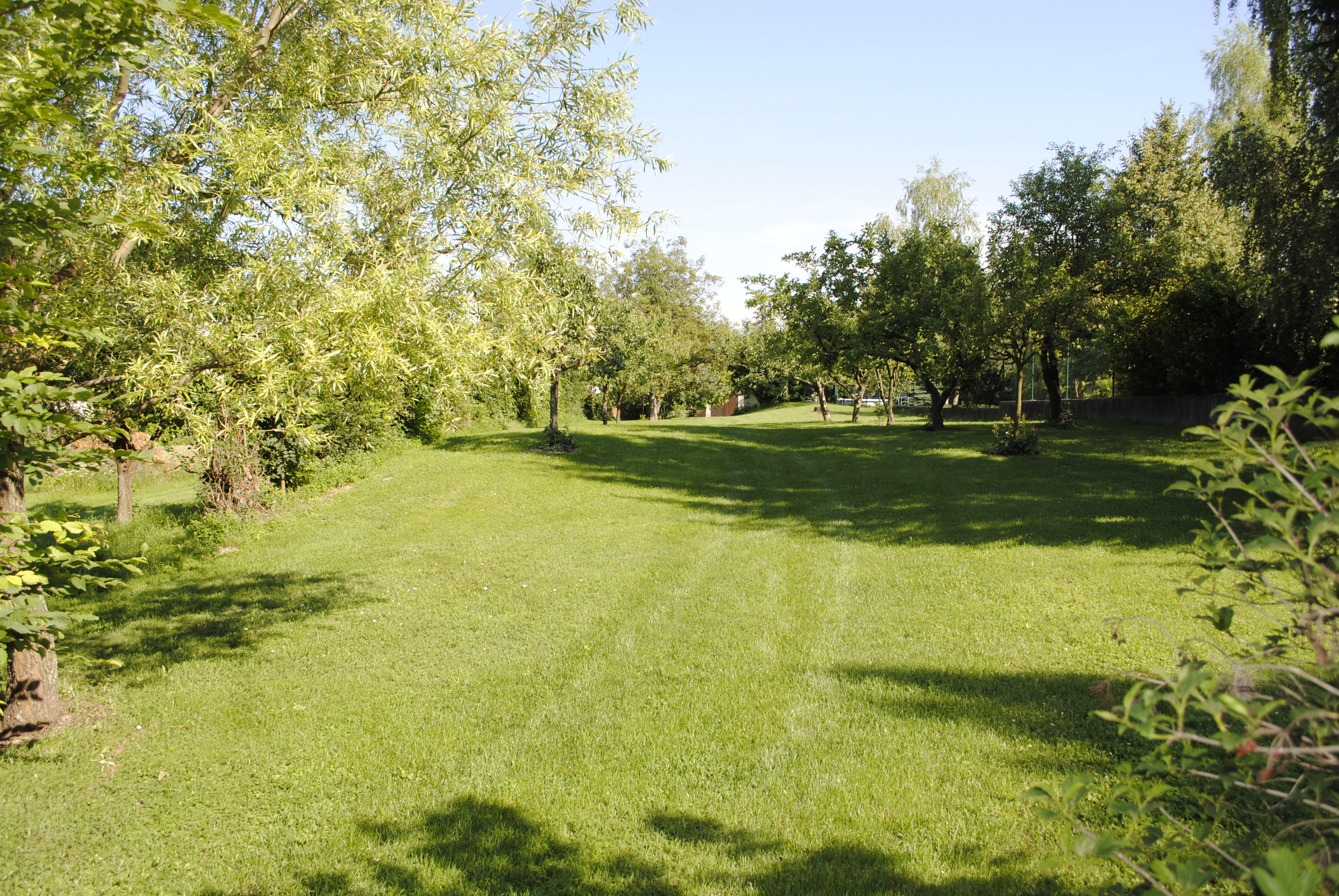 Rasen aerifizieren und Rasen besanden | Lagerhaus Landforst