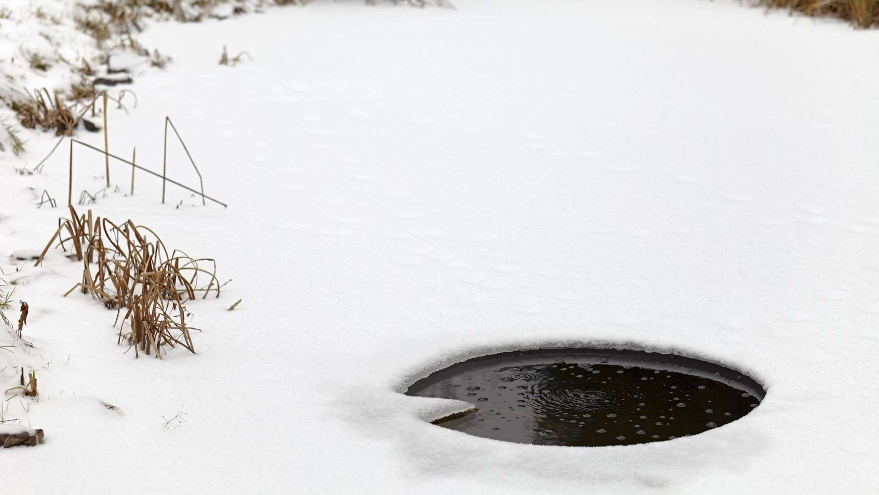 Den Gartenteich Uberwintern Lagerhaus Landring