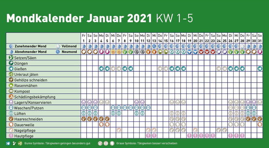 Blumen gießen nach dem mondkalender