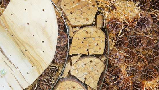 insektenhaus-selbst-gebastelt.jpg insektenhaus-selbst-gebastelt.jpg
