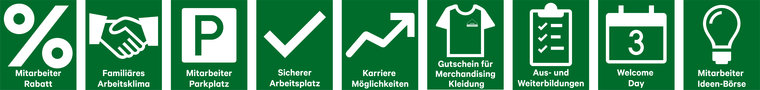 Icons-Stelleninserate ganze-Reihe Standard-13.jpg