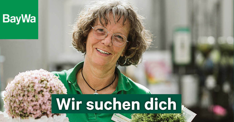 Stelle Deko.jpg Stelle Deko.jpg
