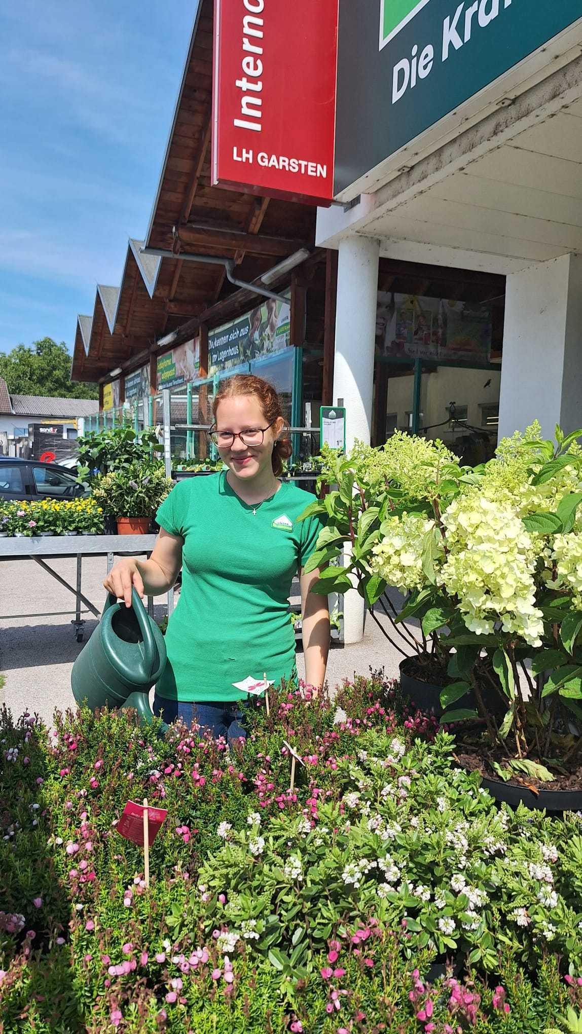 Blumenabteilung Garsten.jpg