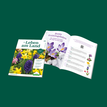 Lagerhaus Magazin 01 2026