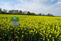 [1652424235712779.jpg]