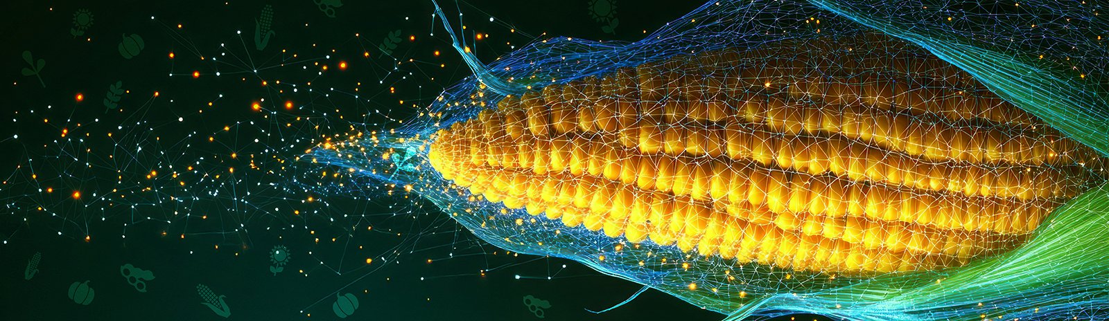 banner_titulka_1600x499px  © Archive