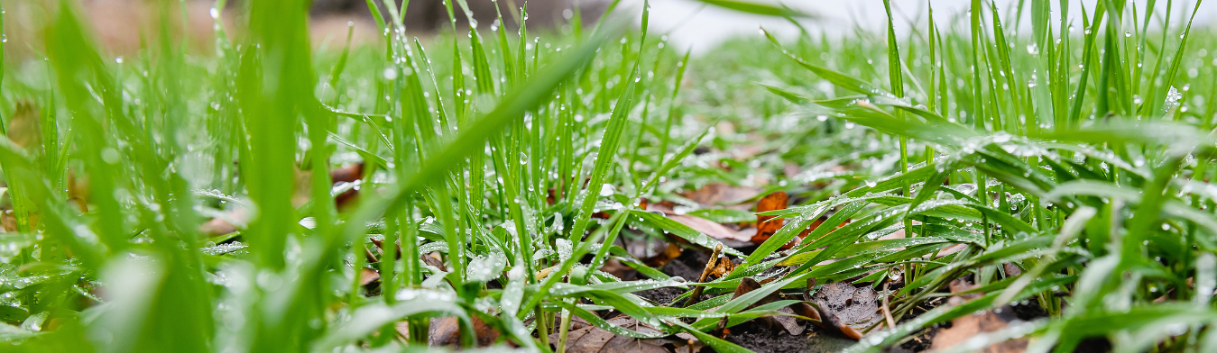 Pozvánka zimný seminár 2025 (1600 x 499 px)  © Archive