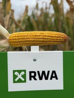 [1765784759299115.jpg]