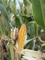 [1765786708389651.jpg]