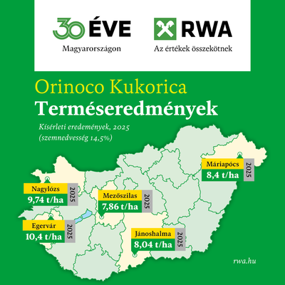 [176848897519777.png]