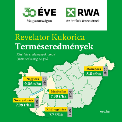 [1768488983775733.png]